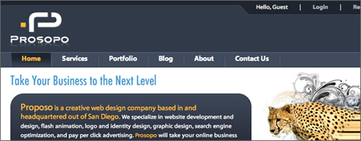 Prosopo Website Development - Small